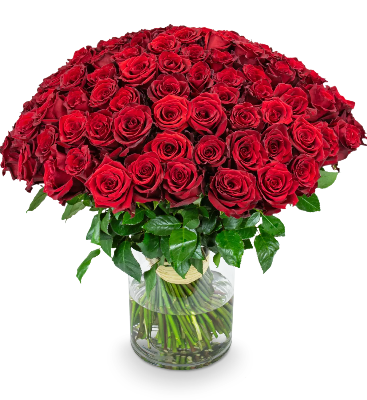 MERCEDES_100_IMG_9290_eRGB kopie.png